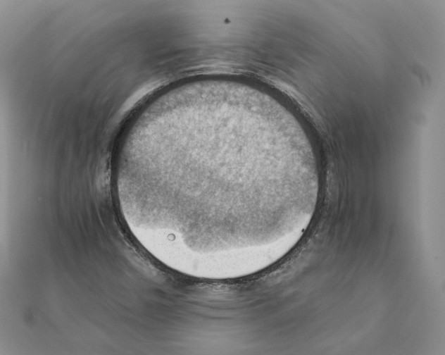X0000111351450200908211224