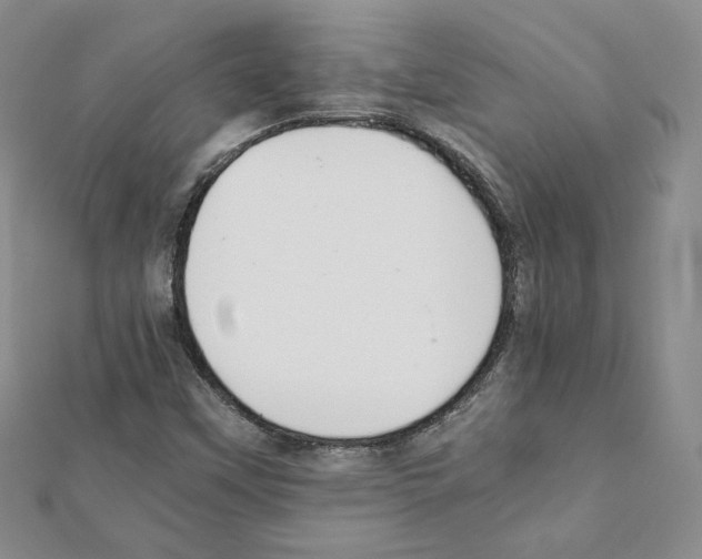 X0000111351451200908211224