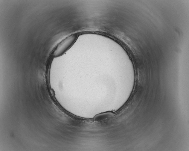 X0000111351452200908211224