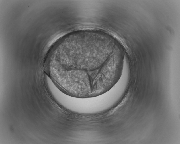 X0000111351453200908211224