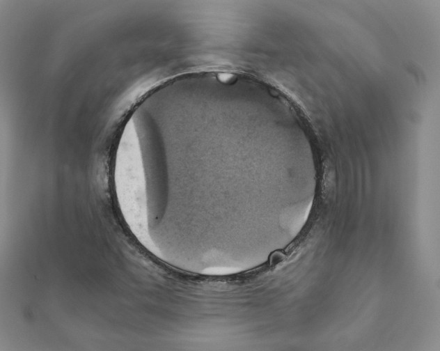 X0000111351455200908211224
