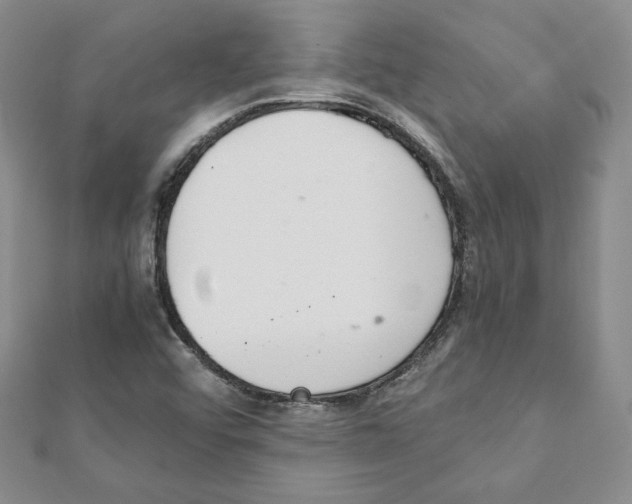 X0000111351456200908211224