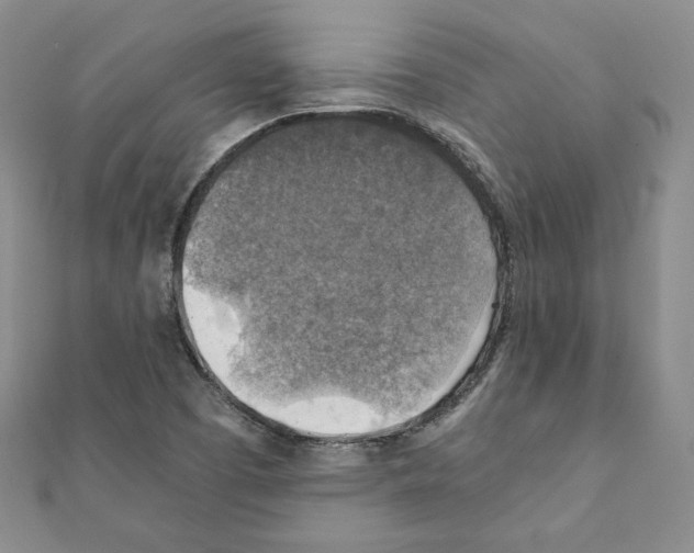 X0000111351457200908211224