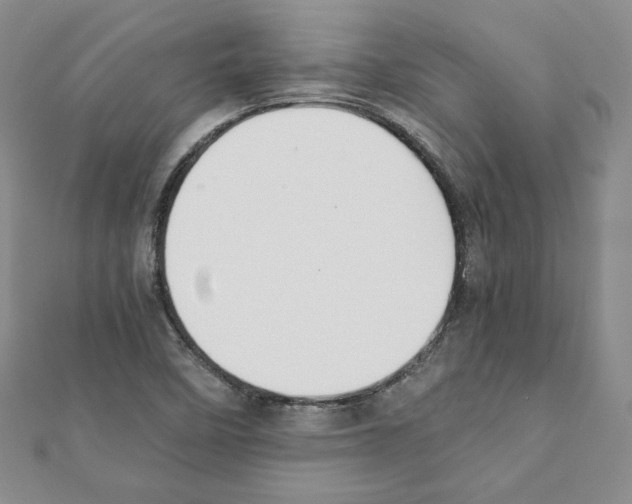 X0000111351458200908211224