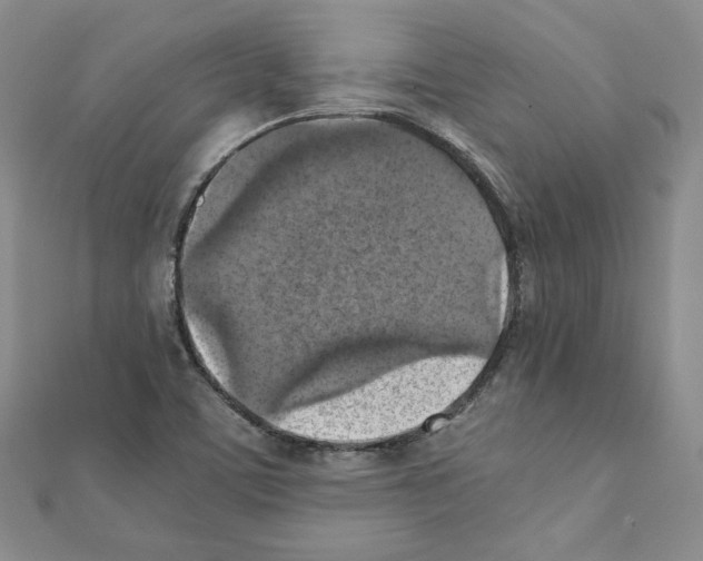 X0000111351459200908211224