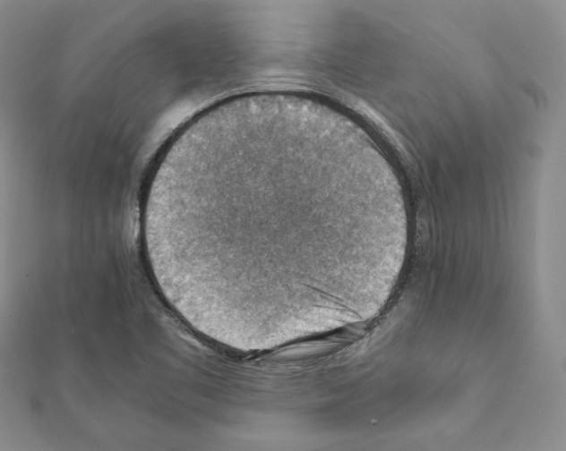 X0000111351461200908211224