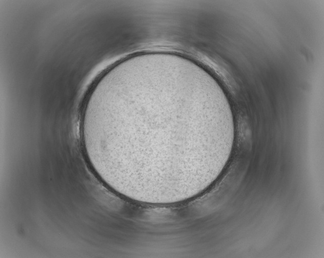X0000111351462200908211224