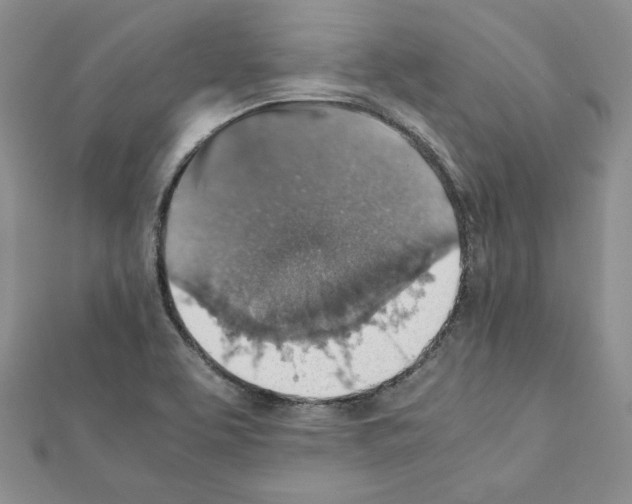 X0000111351463200908211224
