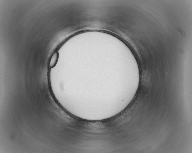 X0000111351464200908211224