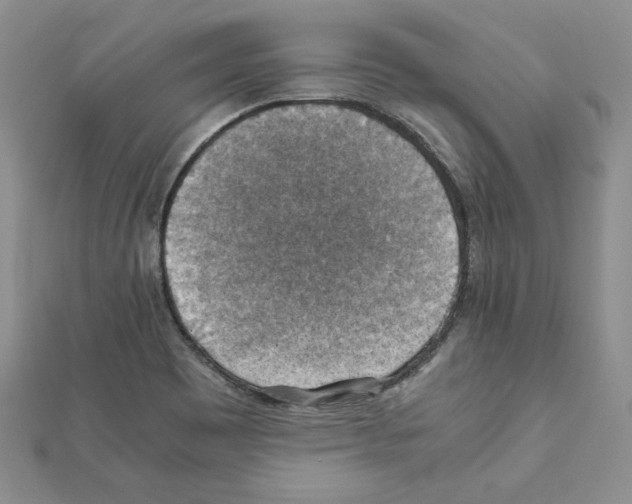 X0000111351465200908211224