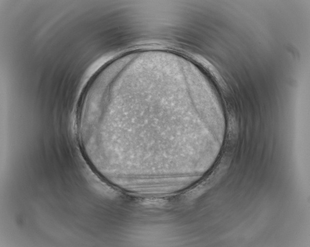 X0000111351466200908211224