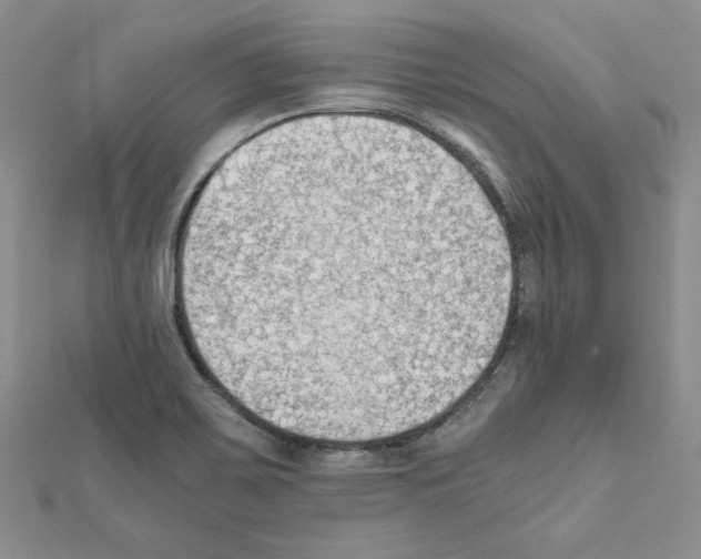 X0000111351467200908211224