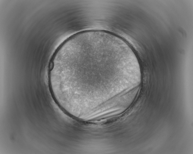X0000111351468200908211224