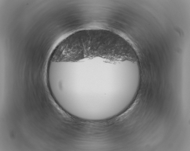 X0000111351469200908211224