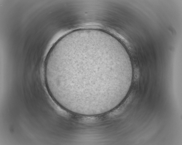 X0000111351470200908211224