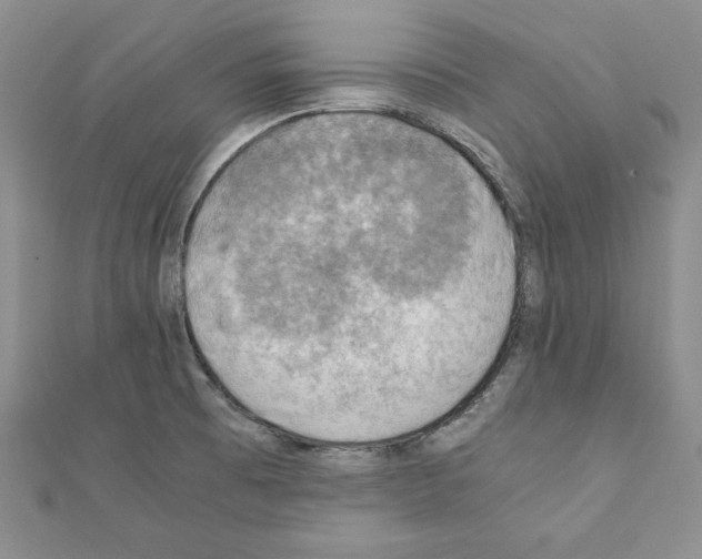 X0000111351473200908211224