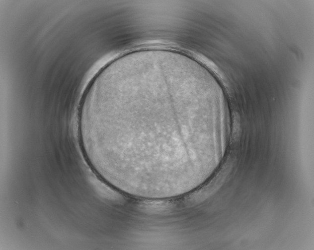 X0000111351474200908211224