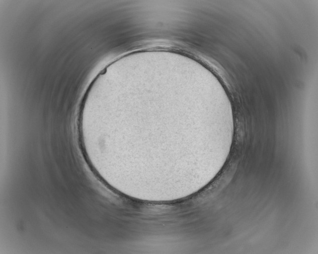 X0000111351475200908211224