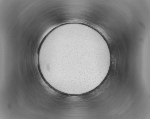 X0000111351476200908211224