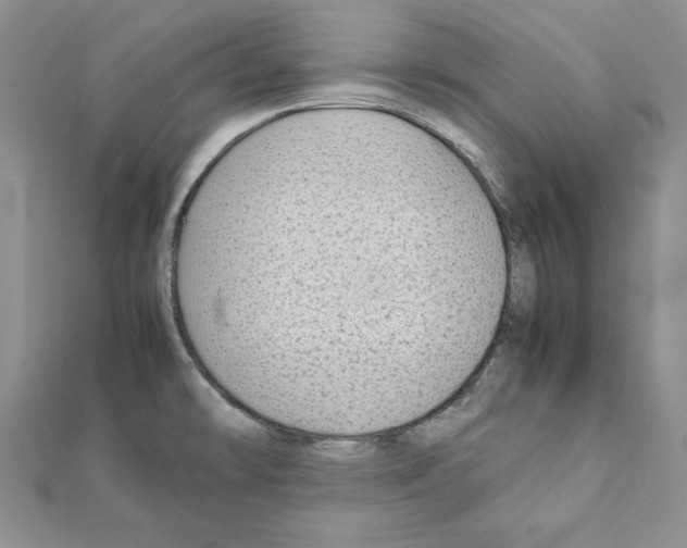 X0000111351478200908211224