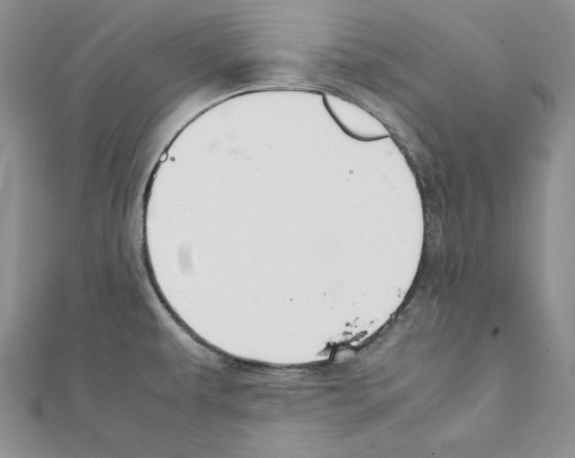 X0000111351479200908211224