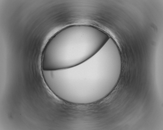 X0000111351480200908211224