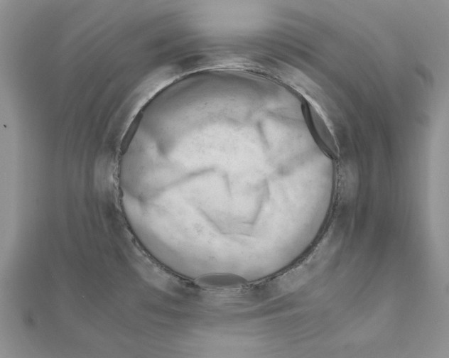 X0000111351481200908211224