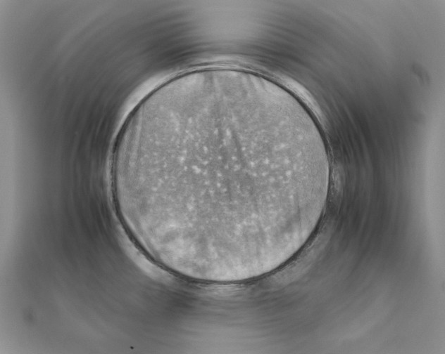X0000111351482200908211224