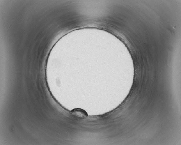 X0000111351483200908211224