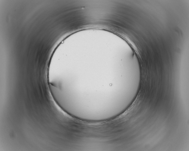 X0000111351484200908211224