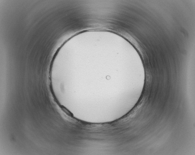 X0000111351485200908211224