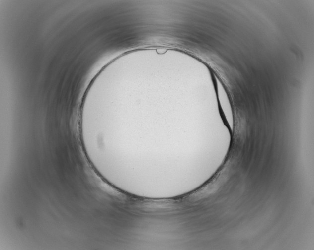 X0000111351486200908211224