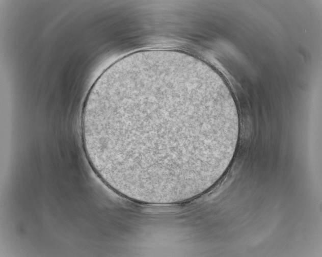 X0000111351487200908211224