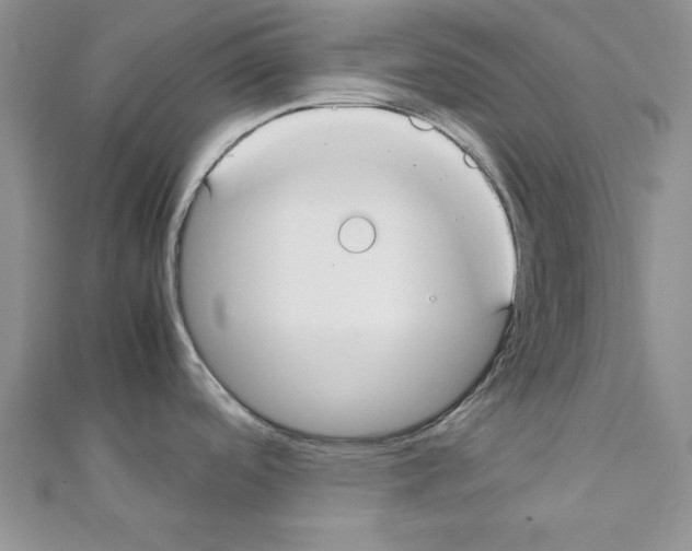 X0000111351488200908211224