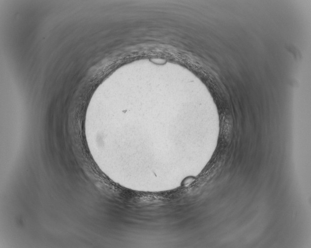 X0000111351489200908211223