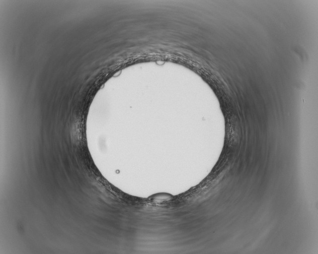 X0000111351490200908211223