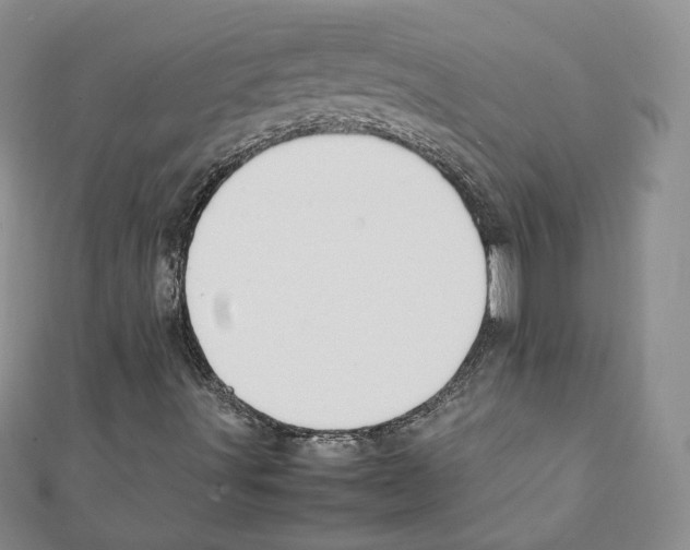 X0000111351491200908211223