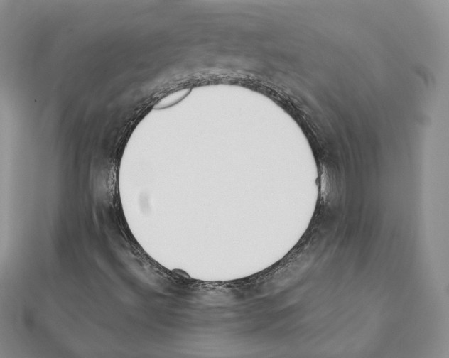 X0000111351492200908211223