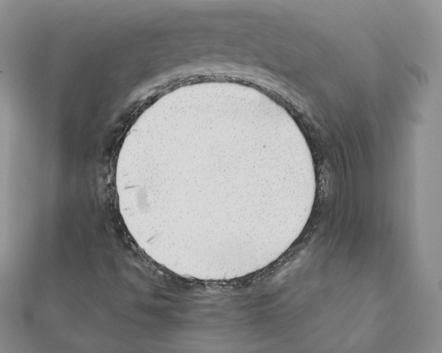 X0000111351494200908211223