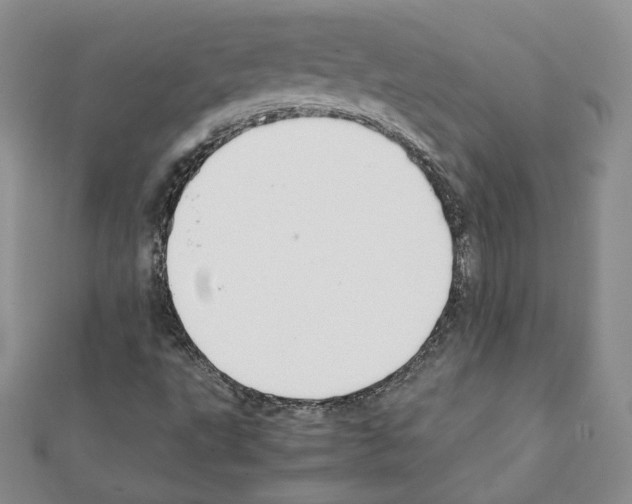 X0000111351495200908211223