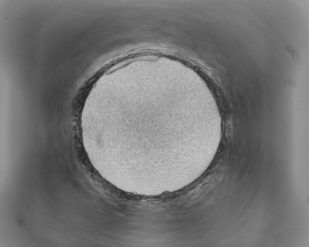 X0000111351496200908211223