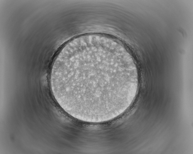 X0000111351497200908211223