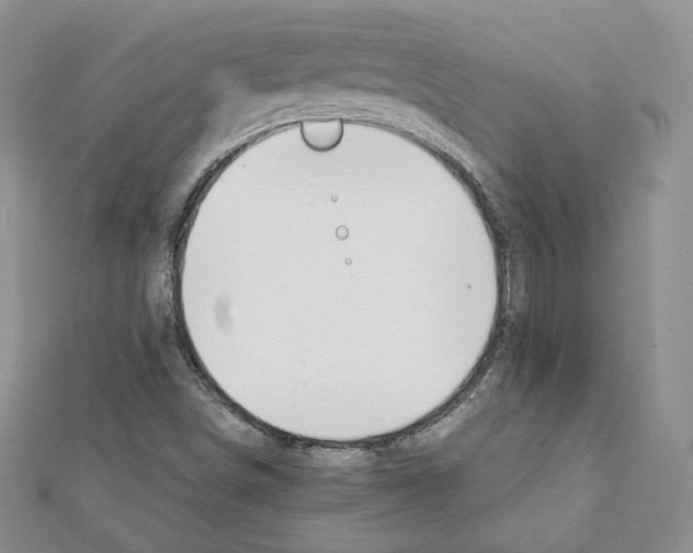 X0000111351498200908211223