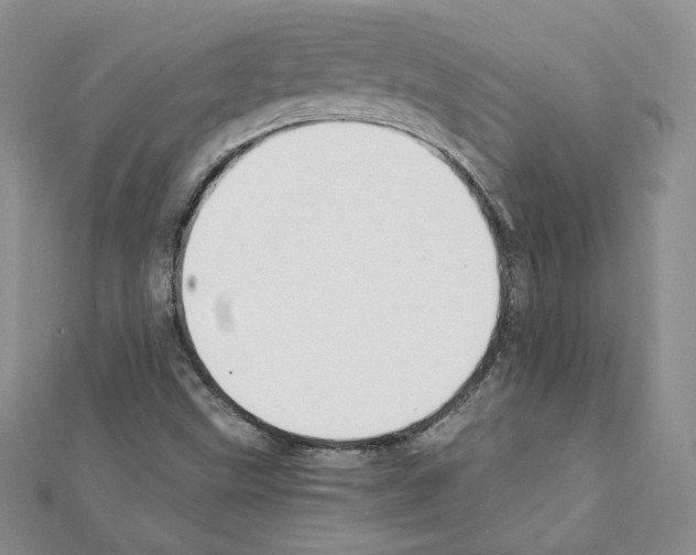 X0000111351499200908211223