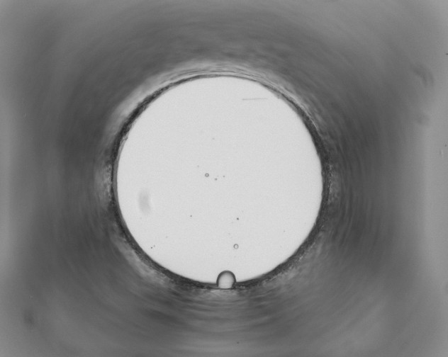X0000111351503200908211223