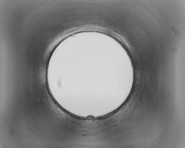 X0000111351504200908211223