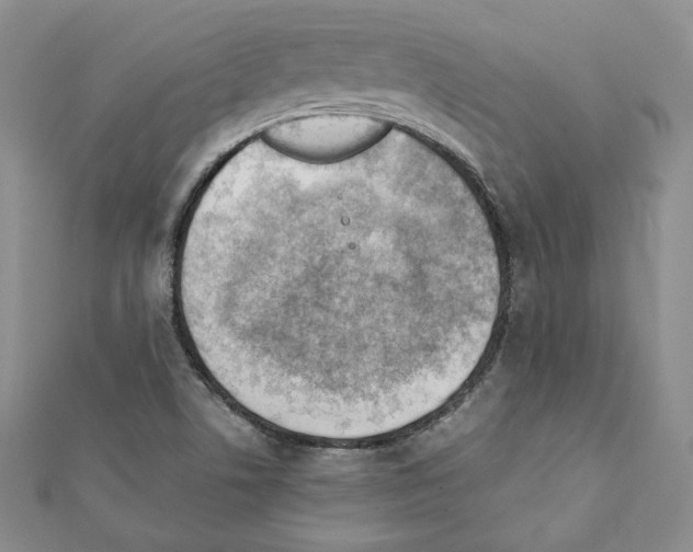 X0000111351506200908211223