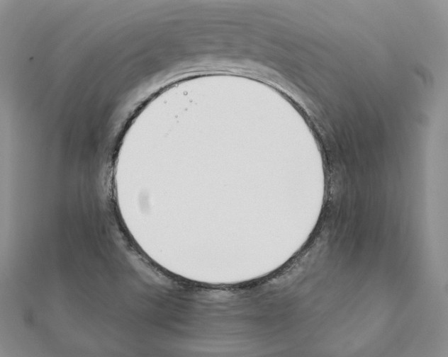 X0000111351507200908211223