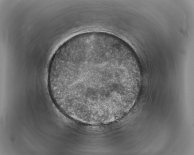 X0000111351508200908211223