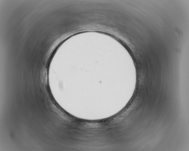 X0000111351509200908211223